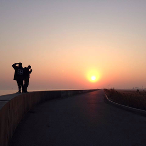 青色大脑cg分享
