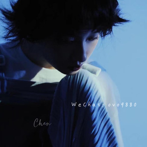 青色大脑cg分享
