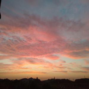 青色大脑cg分享
