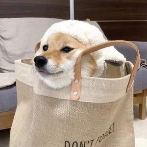 青色大脑cg分享
