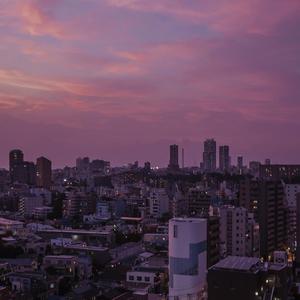 青色大脑cg分享
