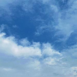 青色大脑cg分享
