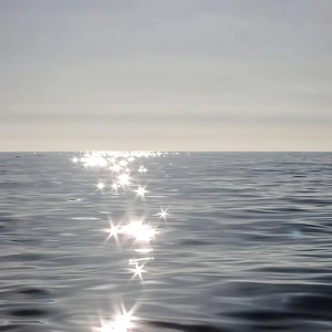 青色大脑cg分享
